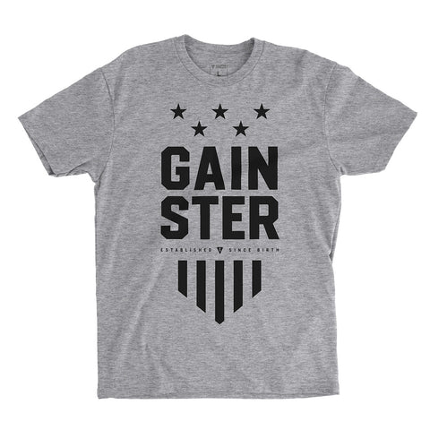 GAINSTER Stars and Stripes T-shirt - Heather gray premium fitted crew with black print